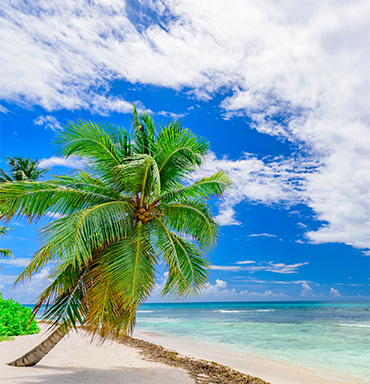 Jamaica Travel Deals